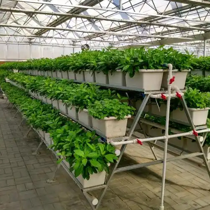 鄂尔多斯市植物工厂大棚 - 排名