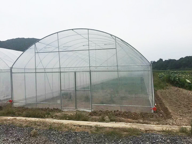 鄂尔多斯市薄膜大棚苗床 - 厂家